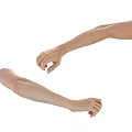 Man Demonstrating Extended Arms And Flexed Hands In Different Poses 3d model