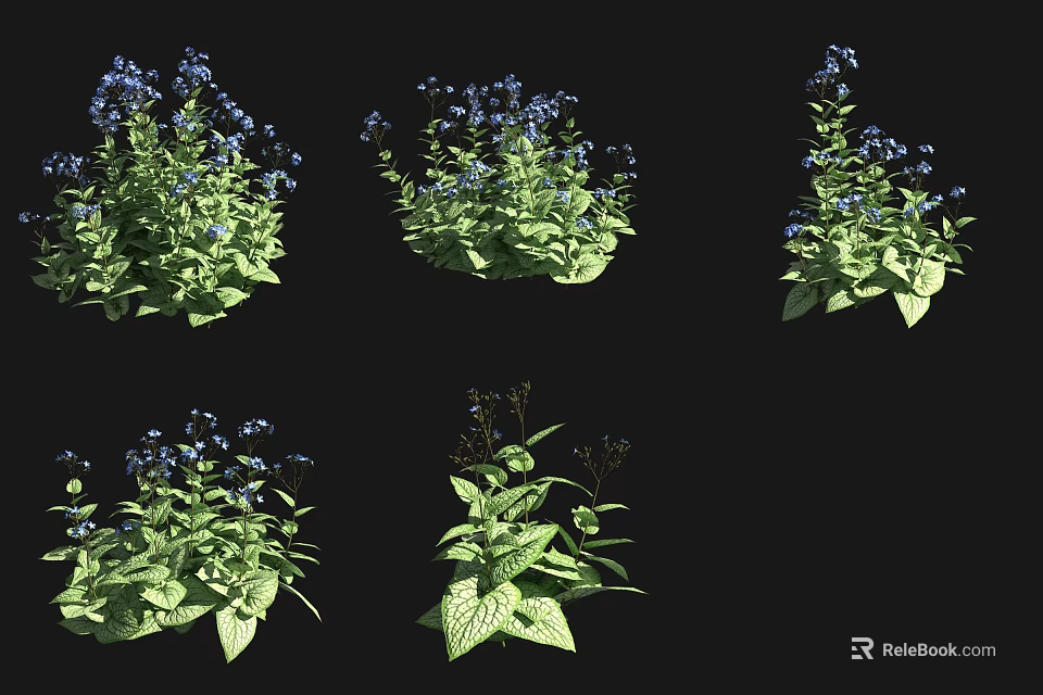 Beautiful Blue Purple Flowers With Green Leaves In Various Plant Forms 3d model 