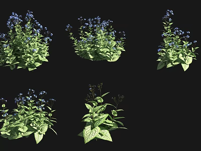 Beautiful Blue Purple Flowers With Green Leaves In Various Plant Forms 3d model