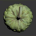 Fresh Ripe Green Custard Apple With Textured Surface And Brown Stem