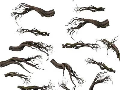 Natural Tree Roots In Various Shapes For Decorative Design Elements 3d model