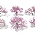 Pink Blossom Trees With Different Postures On Snowy White Ground 3d model