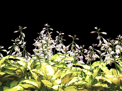 Vibrant White and Purple Flowers with Lush Green Leaves in Natural Bloom 3d model