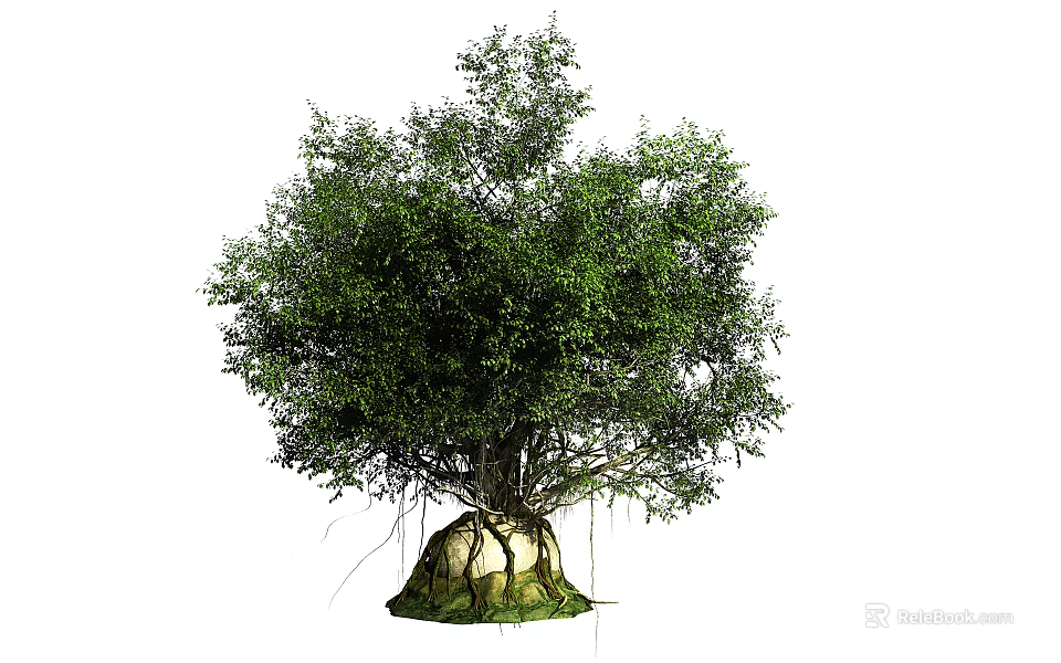 Lush Green Arbor With Dense Canopy And Exposed Roots In Natural Growth Form 3d model 