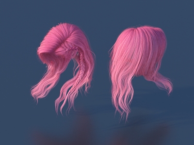 Hair Wig Hair Set model