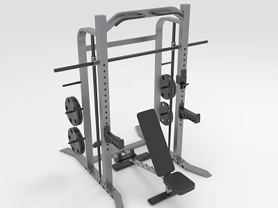 Home Gym Power Rack with Barbell Weight Plates and Adjustable Bench for Strength Training 3d model