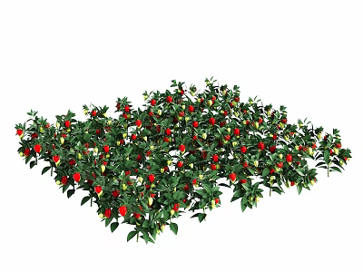Healthy Strawberry Plant Growing With Ripe Red Strawberries And Green Leaves 3d model