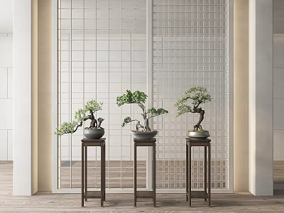 Three Bonsai Plants On Brown Small Tables With White Lattice Screen In Minimalist Modern Setting 3d model