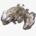 Stunning Rocky Natural Landscape With Mossy Stones And Scattered Vegetation