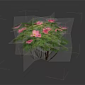 Elegant Pink Flowers In Decorative Vase With Green Leaves For Home Decor
