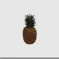 Fresh Ripe Pineapple With Green Leafy Crown And Golden Brown Textured Skin