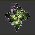 Vibrant Decorative Plant With Green And Purple Leaves On Thin Stem