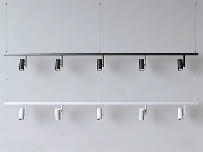 Black And White Track Mounted Downlights And Spotlights For Modern Home Lighting 3d model