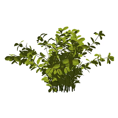 Modern shrubs 3d model Modern shrubs 3d model
