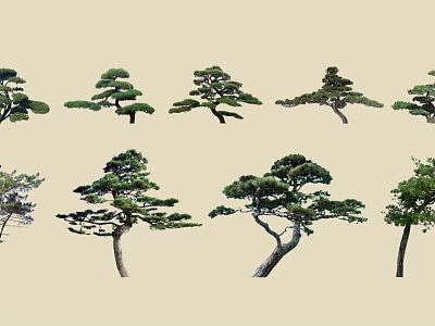 Various Arbor Trees With Different Pruned Shapes And Lush Green Foliage 3d model