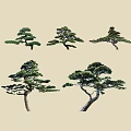 Various Arbor Trees With Different Pruned Shapes And Lush Green Foliage