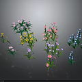 Diverse Plant Collection With Colorful Flowers Different Shapes And Green Leaves