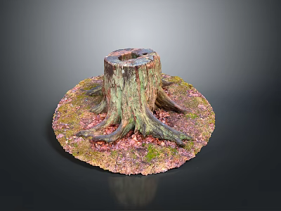 Tree Stump With Green And Pink Moss And Exposed Roots On Natural Ground 3d model