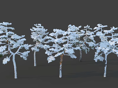 Snow Covered Arbor Trees In Winter Natural Scenery With White Branches 3d model