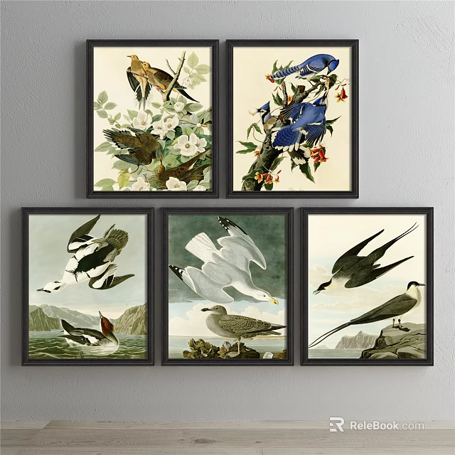 Framed Bird Animal Paintings With Natural Background Flowers Branches Sea And Rocks 3d model 