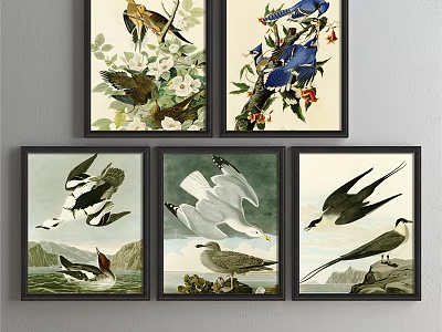 Framed Bird Animal Paintings With Natural Background Flowers Branches Sea And Rocks 3d model