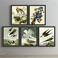 Framed Bird Animal Paintings With Natural Background Flowers Branches Sea And Rocks