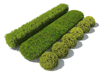 Trimmed Green Bushes with Long Rectangular Hedges and Round Topiary Balls 3d model