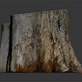 Natural Wooden Tree Stump Decor Piece With Rough Surface And Wood Grain Texture