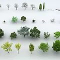 Diverse Collection of Arbor Trees Showcasing Various Sizes Shapes and Foliage Colors