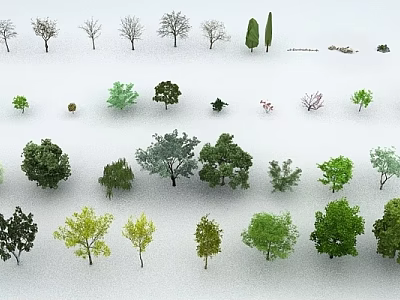 Diverse Collection of Arbor Trees Showcasing Various Sizes Shapes and Foliage Colors 3d model