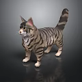 Detailed Striped Cat 3D Model Standing on Black Background with Reflection