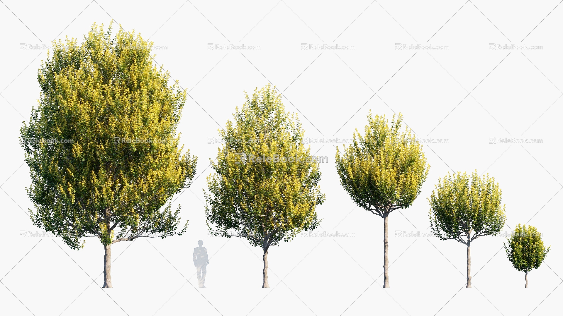 Trees Arbor Landscape Trees 3d model