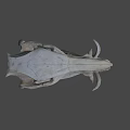 Detailed Animal Skull With Natural Bone Structure Isolated On Black Background