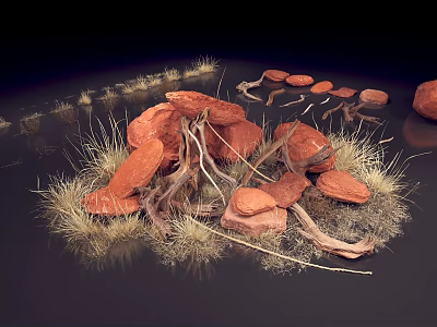 Artistic Display of Red Stones Dry Grass and Twigs in Natural Setting 3d model