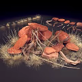 Artistic Display of Red Stones Dry Grass and Twigs in Natural Setting