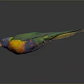Rainbow Lorikeet With Vibrant Green Blue Yellow Orange Feathers Displaying Colorful Plumage