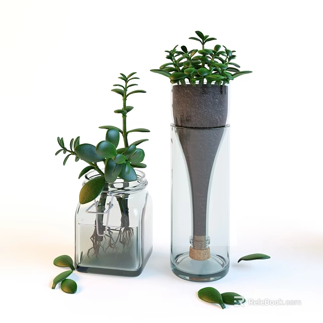 Bonsai Potted Plants in Glass Containers with Visible Roots Gray Cover and Green Leaves 3d model 