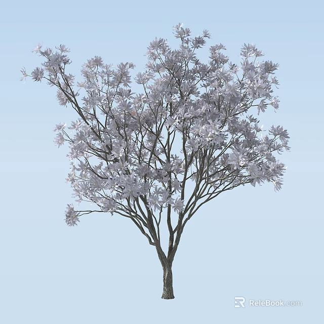 Beautiful Arbor Featuring White Blossoms And Graceful Branches Under Blue Sky 3d model 