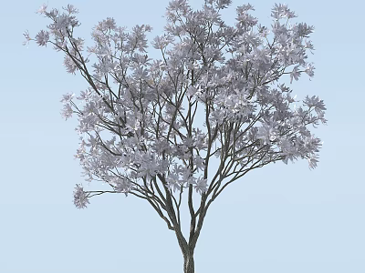 Beautiful Arbor Featuring White Blossoms And Graceful Branches Under Blue Sky 3d model