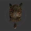 Turtle with patterned shell and red eyes open mouth on black background with reflection