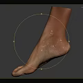 Realistic 3D Model of Human Foot and Ankle on Gray Background with Reflection