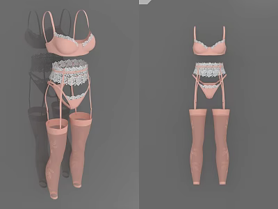 Women's Elegant Pink Lace Lingerie Set With Bra Panties And Stockings 3d model