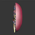 3D Anatomical Kidney Model Medical Device For Medical Education And Study