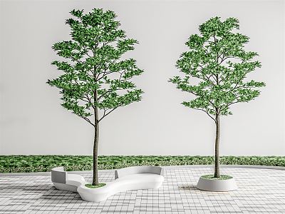 Modern Tree Pool Landscape Tree model