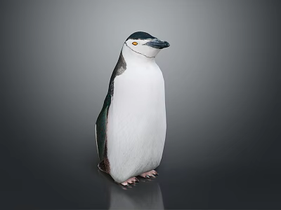 Penguin With White And Black Feathers Standing On Shiny Surface Against Gray Background 3d model