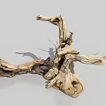 Arbor Trunk with Dry Wood Texture Weathered Branches and Exposed Roots