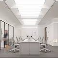 Modern Public Office Space with Long Conference Table Office Chairs Glass Partitions and Ceiling Lights
