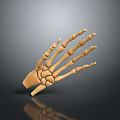 Realistic 3D Rendered Brown Hand Skeleton Model With Gradient Gray To Black Background Reflection 3d model