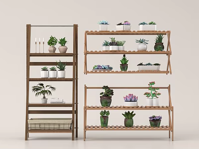Indoor Garden Decor Display With Multi Tiered Wooden Shelves And Various Potted Plants 3d model