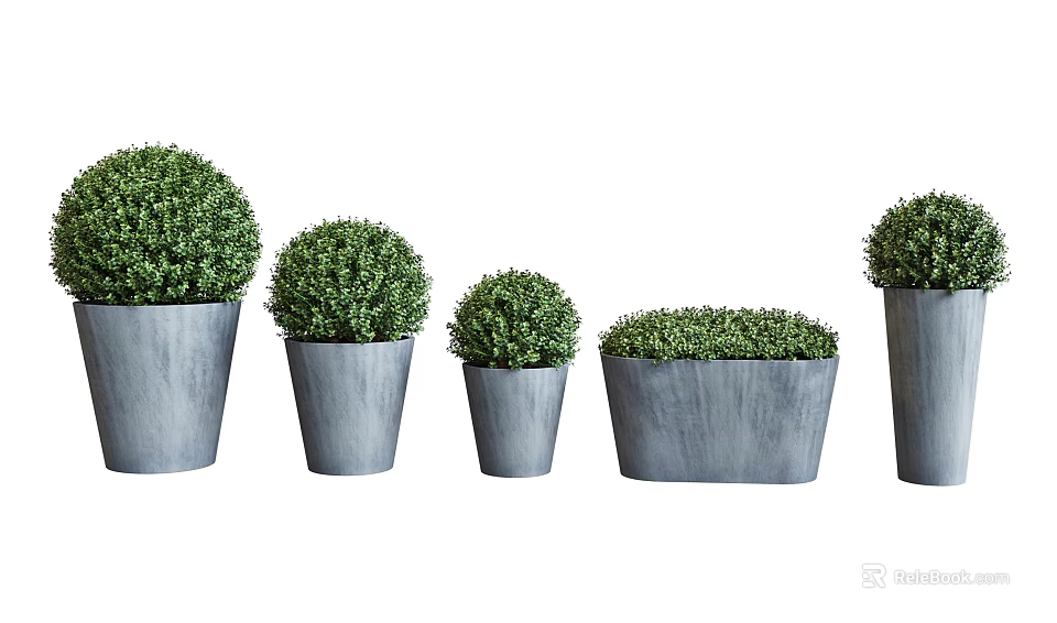 Bonsai Potted Plants With Round Shaped Green Foliage In Gray Planters Of Various Sizes 3d model 